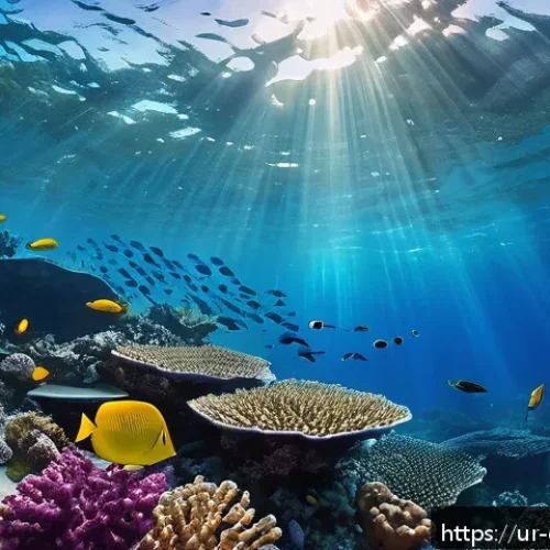 Home 17 수중 카메라 기술 - A high-resolution underwater scene captured with a modern waterproof camera, showcasing vibrant cora...